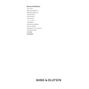 Bang Olufsen Beosound Balance