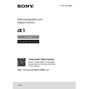 Sony ILCE-1 manual cover