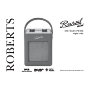 Roberts Mini Revival 2014 manual cover