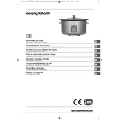 Morphy Richards 461014 Stainless Steel manual cover