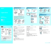 Sony DSC-N1 manual cover