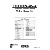 KORG TRITON-Rack