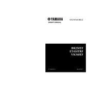 Yamaha BR250TF, ET410TRF, VK540EF 2001 manual cover