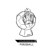 Charnwood Fireball manual cover