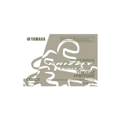 Yamaha YFM7FGZ, YFM7FGHZ Grizzly 700 FI 2010 manual cover