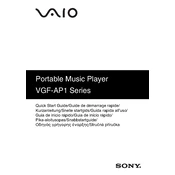 Sony VGF-AP1