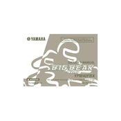 Yamaha YFM40FBX Big Bear 400 2008 manual cover