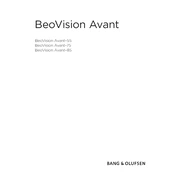 Bang Olufsen Beovision Avant 2014 55 manual cover