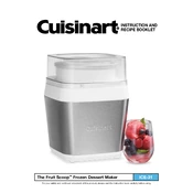 Cuisinart ICE-31