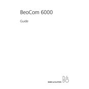 Bang Olufsen Beocom 6000