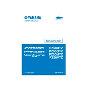 Yamaha PZ50RTZ, PZ50GTZ, PZ50MTZ 2010 Phazer Venture Lite manual cover