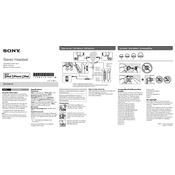 Sony DR-EX61iP manual cover