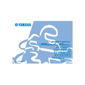 Yamaha XV17AV C, XV17AWV C, XV17AMV C Road Star 2006 manual cover