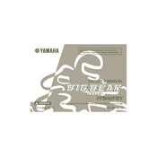 Yamaha YFM40FBY Big Bear 400 2009 manual cover