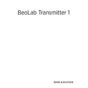 Bang Olufsen BeoLab 1