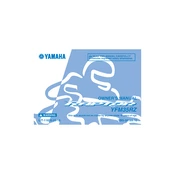 Yamaha YFM35RZ Raptor 2010 manual cover