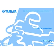 Yamaha TT-R230B 2012 manual cover