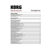 KORG D12