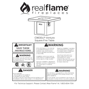 Realflame C9630LP