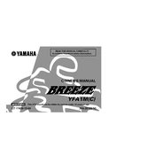 Yamaha YFA1M C Breeze 2000 manual cover