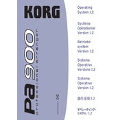 KORG Pa900