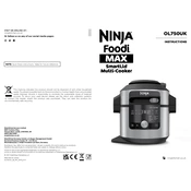 Ninja OL750UK manual cover