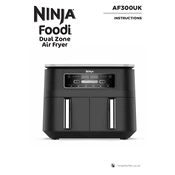 Ninja AF300UK