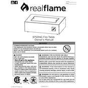 Realflame 9750NG manual cover