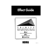KORG TRINITY plus