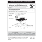 Frigidaire FFIC3026TB manual cover