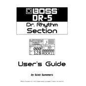 Boss DR-5