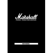 Marshall Stockwell manual cover