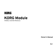 KORG KORG Module manual cover