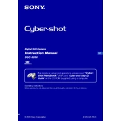 Sony DSC-S930 manual cover