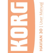 KORG HAVIAN 30