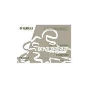 Yamaha YFM25BX Big Bear 250 2008 manual cover