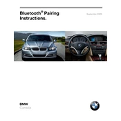 BMW Bluetooth Pairing Instructions 2009 manual cover