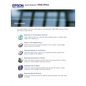 Epson Perfection V500