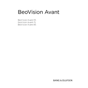 Bang Olufsen Beovision Avant 55 manual cover