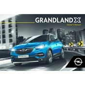 Opel Grandland X 2020 manual cover