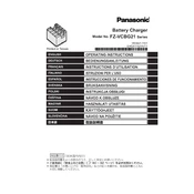 Panasonic FZ-VCBG21 Series manual cover