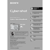 Sony DSC-S500 manual cover