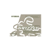 Yamaha YFM5FGY, YFM5FGPY Grizzly 550 FI 2009 manual cover