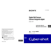 Sony DSC-HX1
