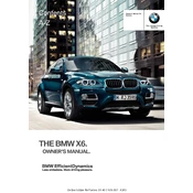 BMW X6 xDrive35i X6 Series 2013 manual cover