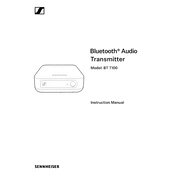 Sennheiser BT T100