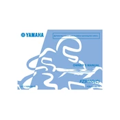 Yamaha FZS10D C FZ1 2013 manual cover