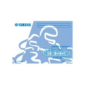 Yamaha XVS13CTY C V Star 1300 2009 manual cover