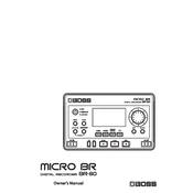 Boss Micro BR BR-80