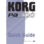KORG Pa300 Brazilian Edition